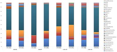 Effect of coastal hypoxia on bacterial diversity as elucidated through 16S rRNA amplicon sequencing